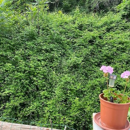 Villa Serenice - F2 Au Calme, Climatise, Wifi Et Parking Gratuit ภายนอก รูปภาพ