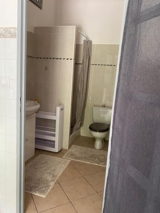 Villa Serenice - F2 Au Calme, Climatise, Wifi Et Parking Gratuit ภายนอก รูปภาพ