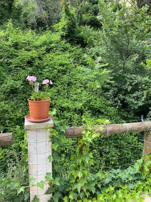 Villa Serenice - F2 Au Calme, Climatise, Wifi Et Parking Gratuit ภายนอก รูปภาพ